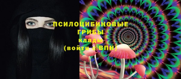 а пвп мука Алзамай
